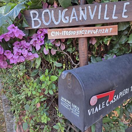 Casa Vacanze “Bouganville” Loc Avane Pisa Vecchiano Ngoại thất bức ảnh
